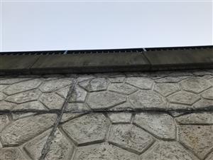 SVK